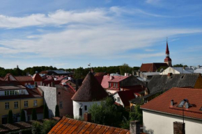 Bright penthouse with magical view to the Old Town